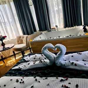 Superior Kamer met een King Size Bed